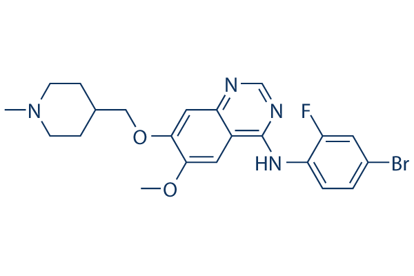 Vandetanib (ZD6474)