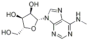 N6-methyladenosine (m6A)