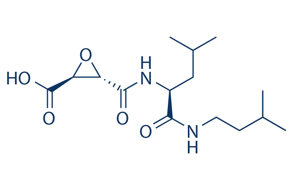 Loxistatin Acid (E-64C)