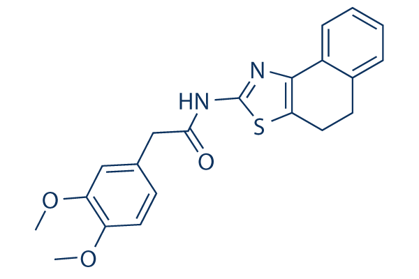 ZINC00881524 (ROCK inhibitor)
